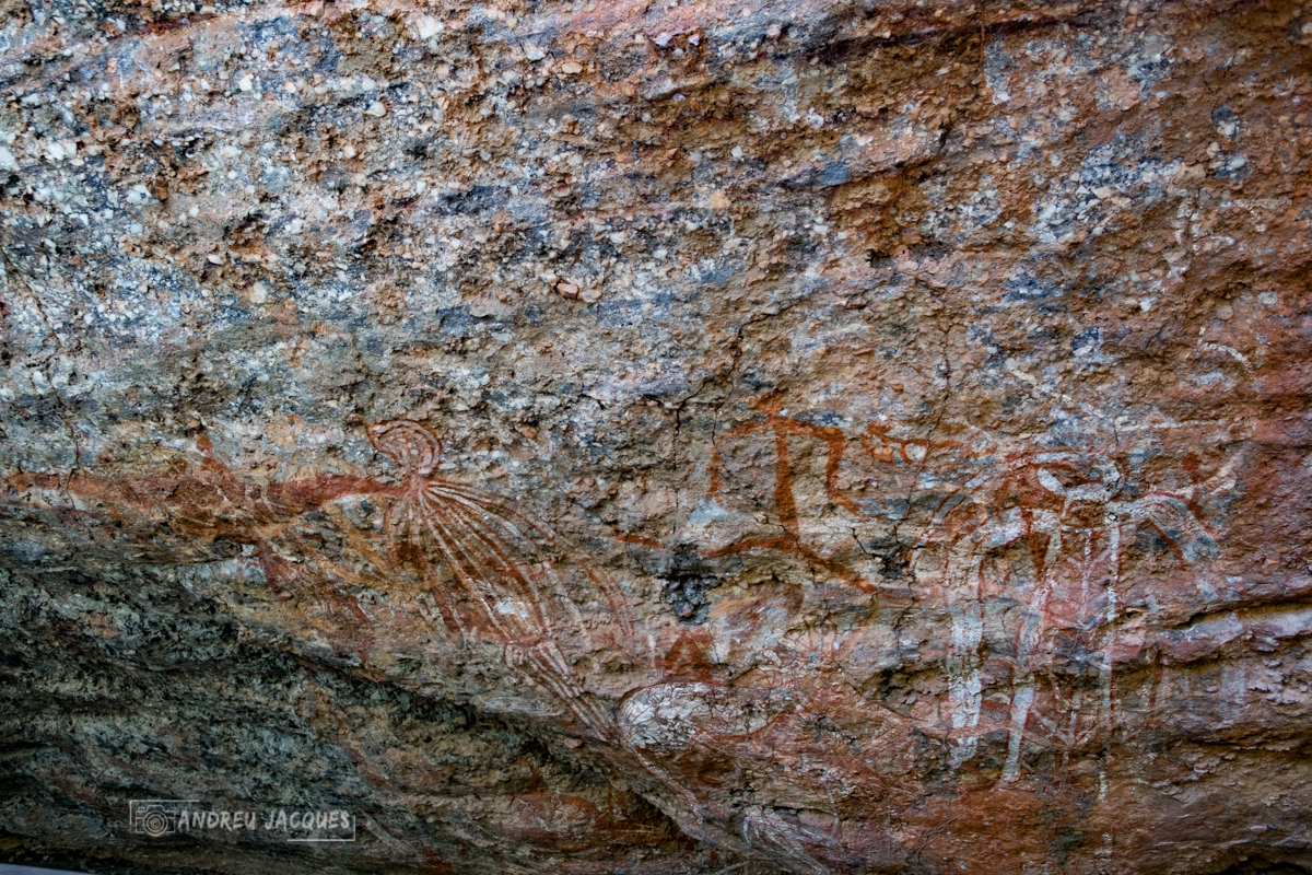 australie 2018-92.jpg